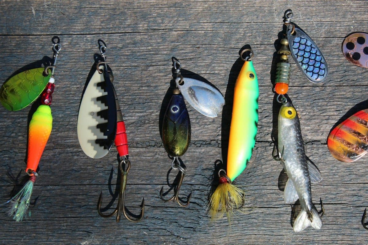 Three crankbaits side by side with short, medium and long bills