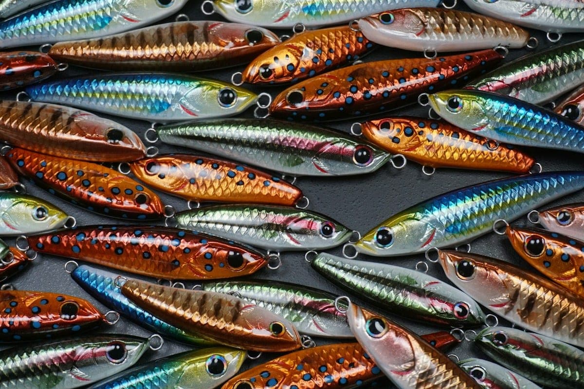 Rows of fish-shaped hard lures in metallic orange, silver, green and blue finishes, with painted eyes and line ties
