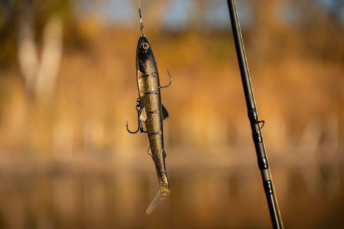 A soft paddle-tail swimbait hanging from the line beside a fishing rod, with autumn trees blurred behind
